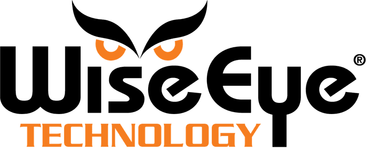 WiseEye's logo