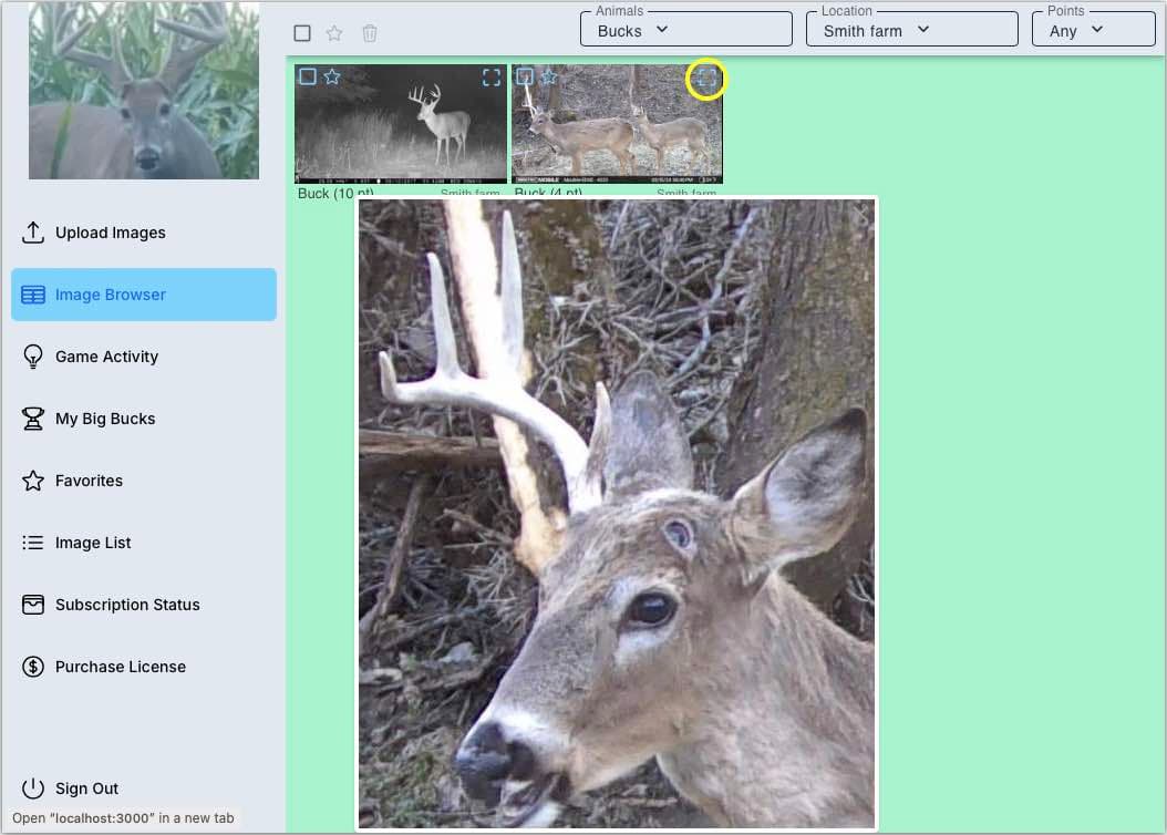 Image showing how to click an image to see the most significant detected wildlife in the app