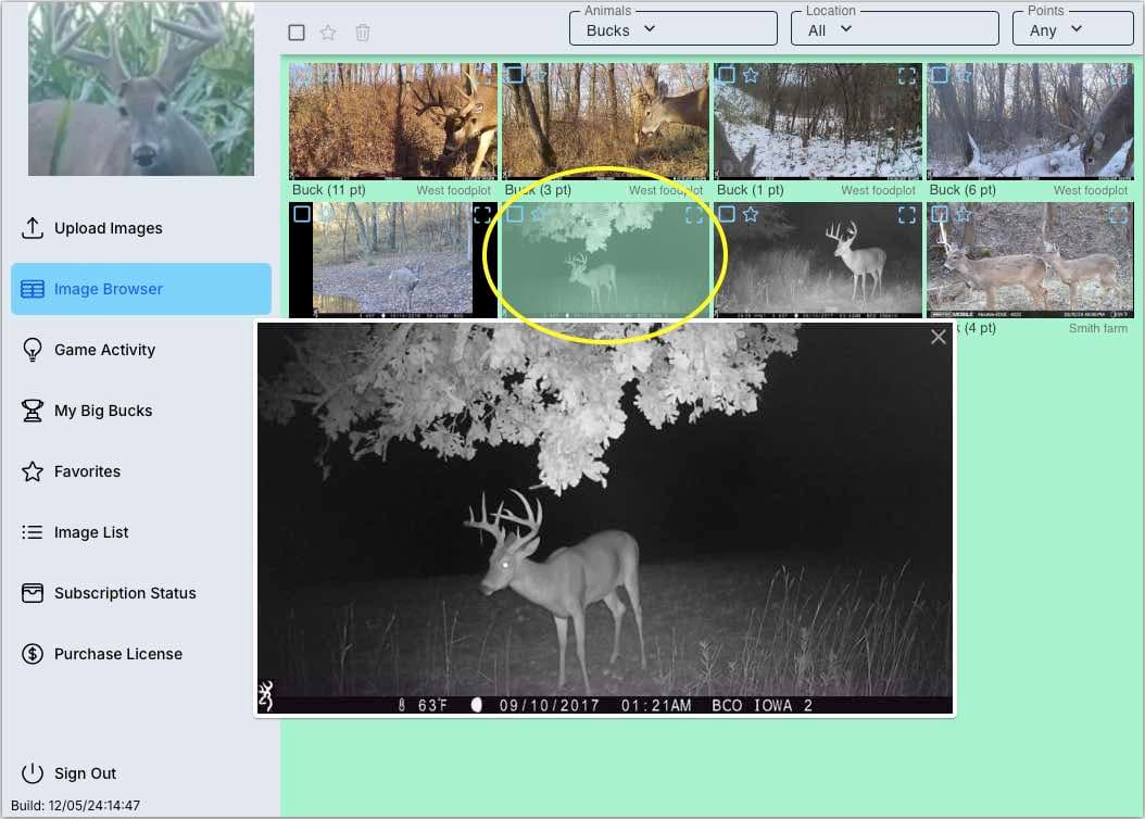 Image showing how click an image thumbnail to see the full size image in the app