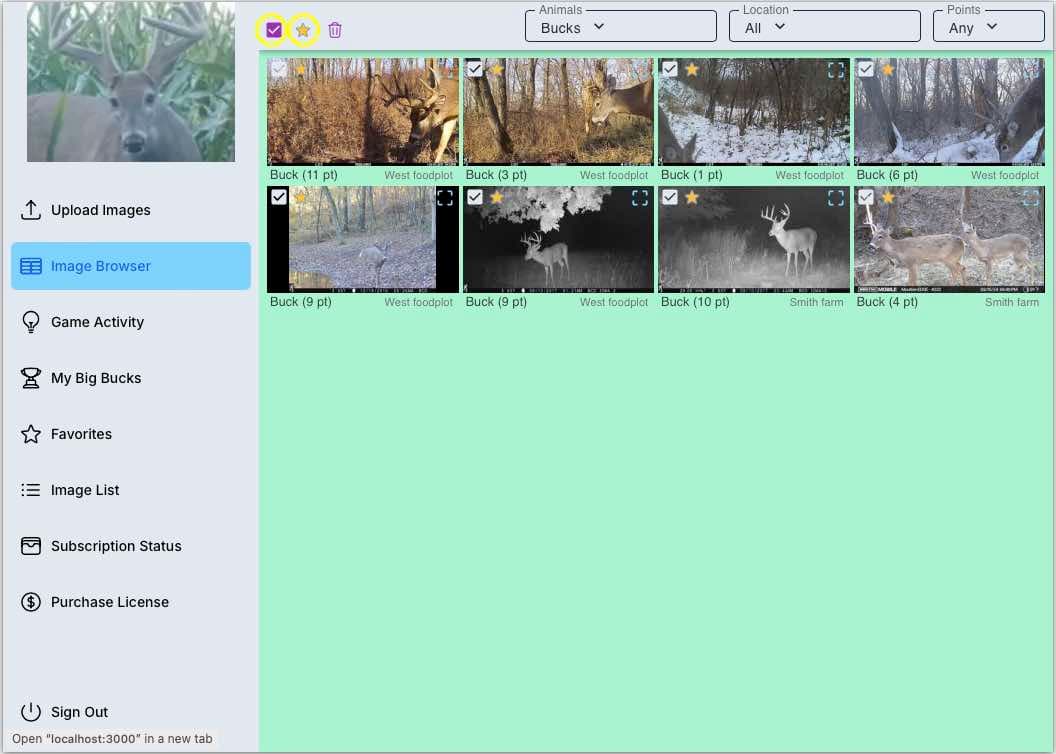 Image showing how to mark all selected images as favorites